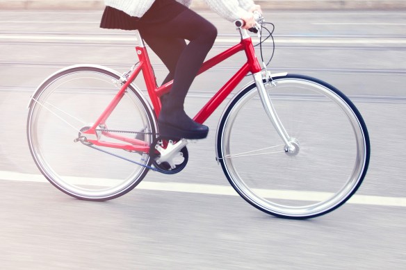 Lotte - lifestyle 14