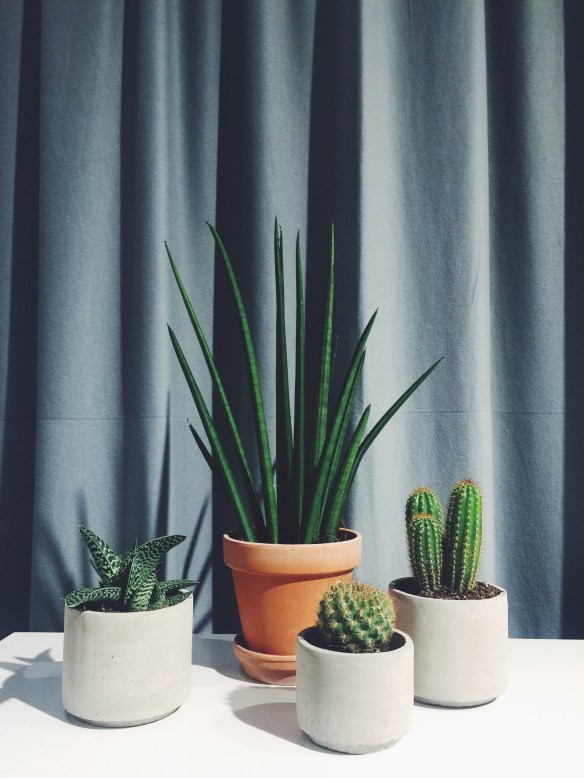 Processed with VSCOcam with f2 preset