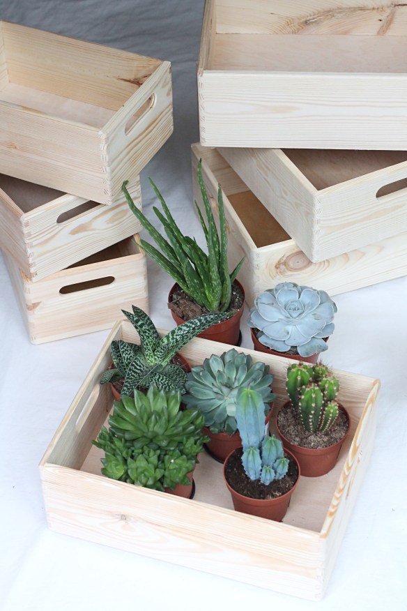 Interior Succulents Floating Bohemian_11